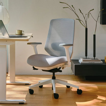 Open Box - Ergonomic Chair Pro