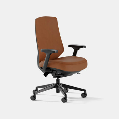 Open Box - Ergonomic Chair Pro