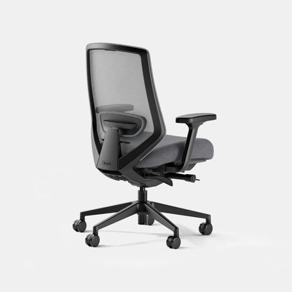 Open Box - Ergonomic Chair Pro
