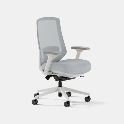 Open Box - Ergonomic Chair Pro