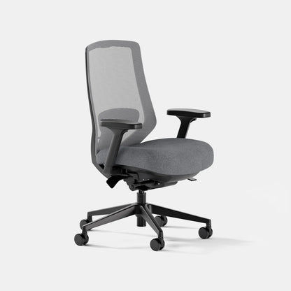 Open Box - Ergonomic Chair Pro