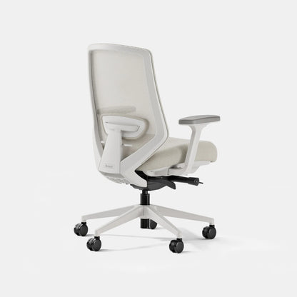 Open Box - Ergonomic Chair Pro