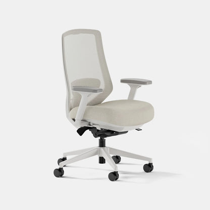 Open Box - Ergonomic Chair Pro