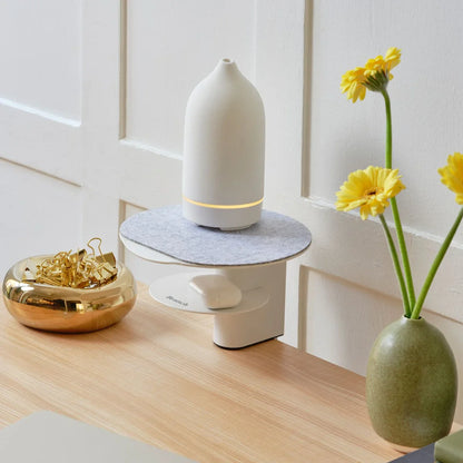 Open Box - Desk Perch