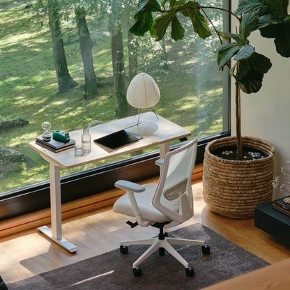 Open Box - Ergonomic Chair Pro