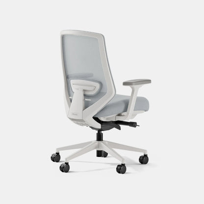 Open Box - Ergonomic Chair Pro