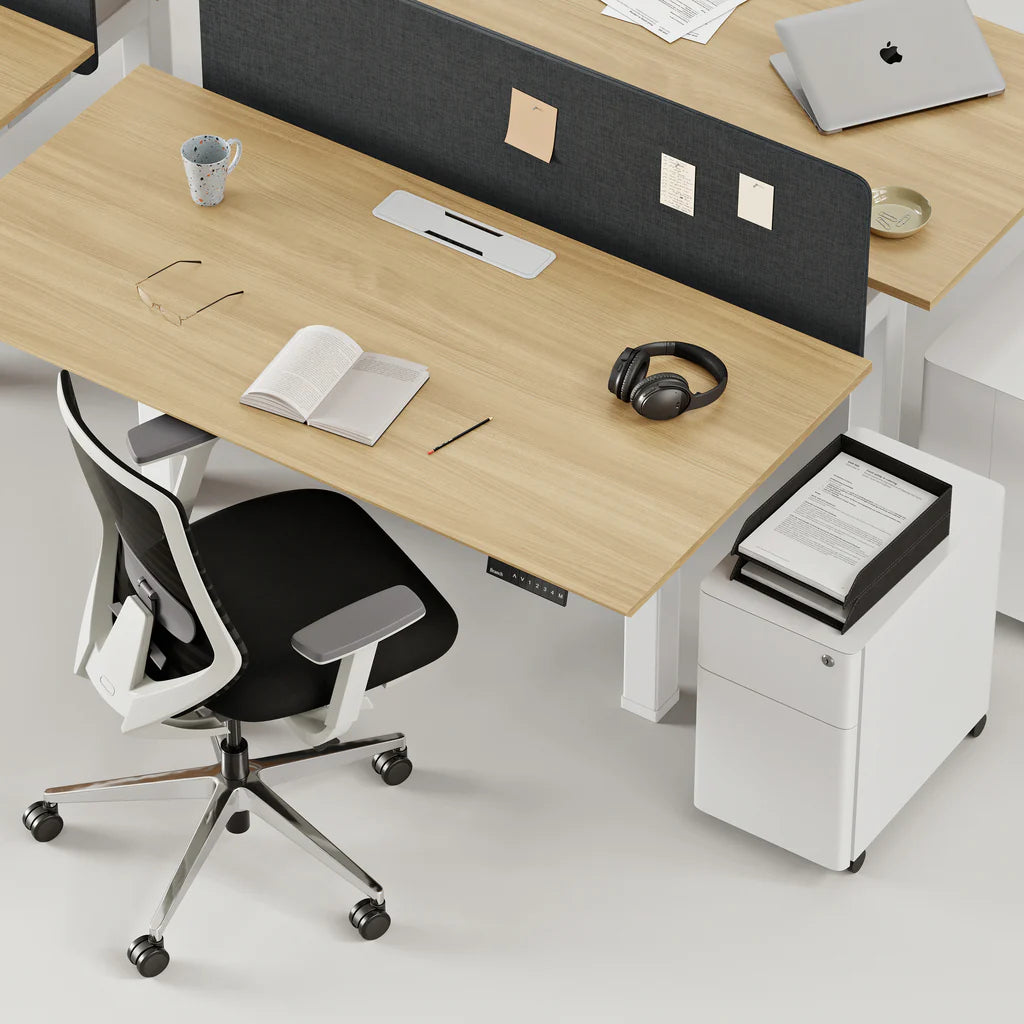 Privacy Panel, Double Standing Desk